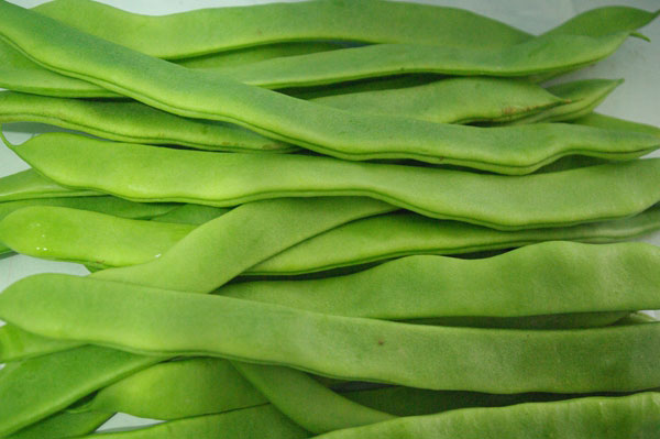 扁豆空氣能烘干機(jī)——扁豆烘干工藝