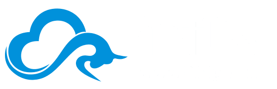 惠特高科